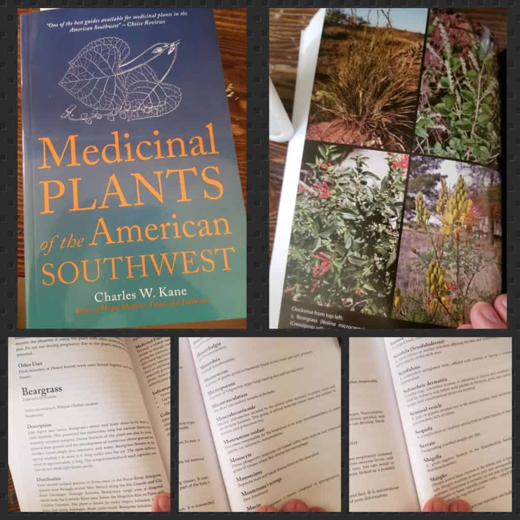 Medicinal Plants of the American Southwest (Herbal Medicine of the American Southwest)
