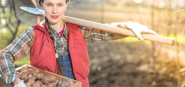 make money homesteading