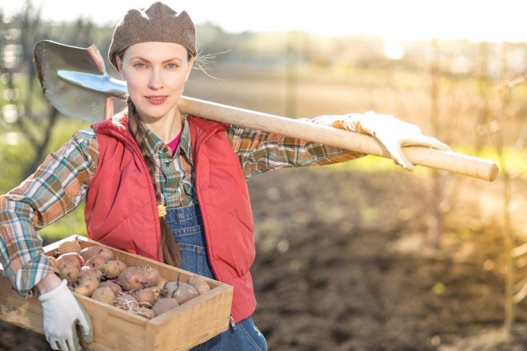 make money homesteading