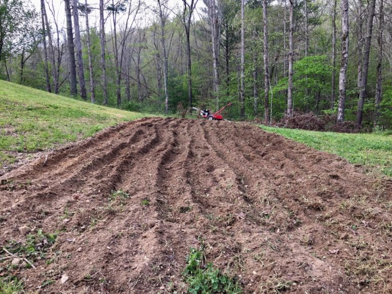 the prepper garden