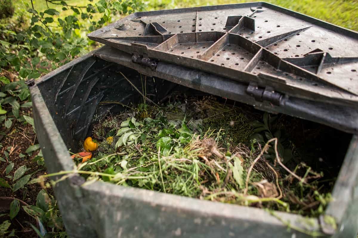 Plastic composter in a garden - filled with decaying organic mat