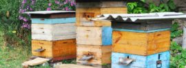 Wooden Beehives. Natural Beekeeping in Your Backyard.