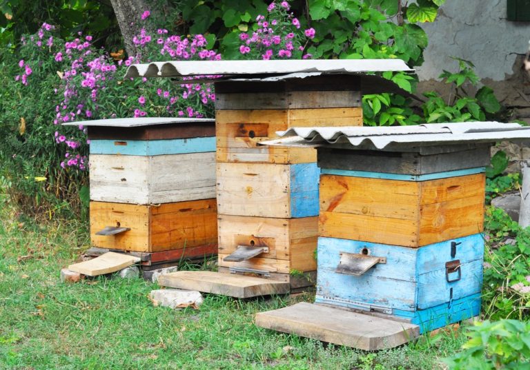 Wooden Beehives. Natural Beekeeping in Your Backyard.