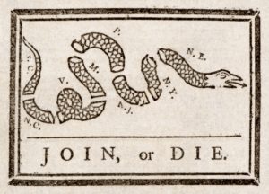 What Does The Don't Tread on Me Snake Mean