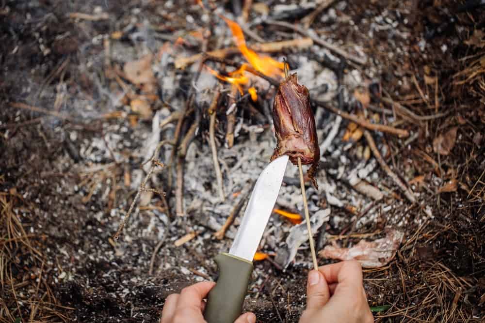 Bushcraft and survival skills to learn now
