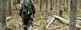 bushcraft skills for survival