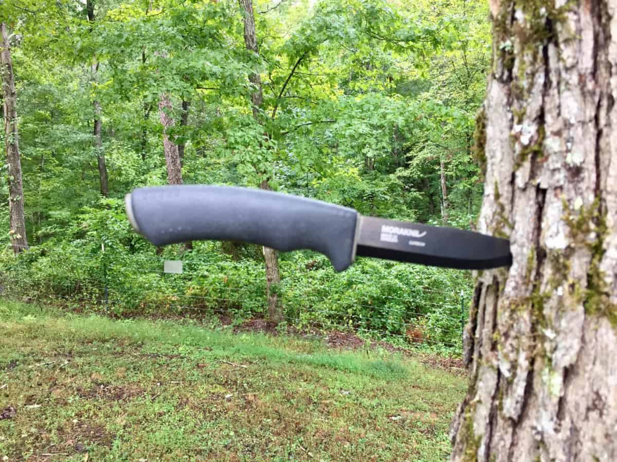 the best survival knife in the world