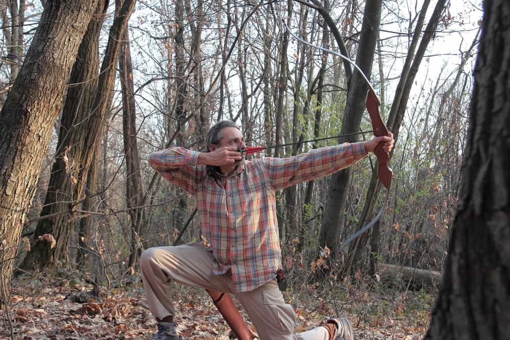 Compound Bow vs Recurve Bow for Beginners