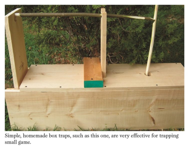 homemade box trap