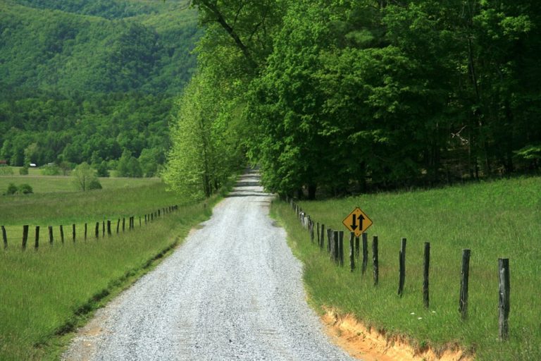 homesteading in Tennessee
