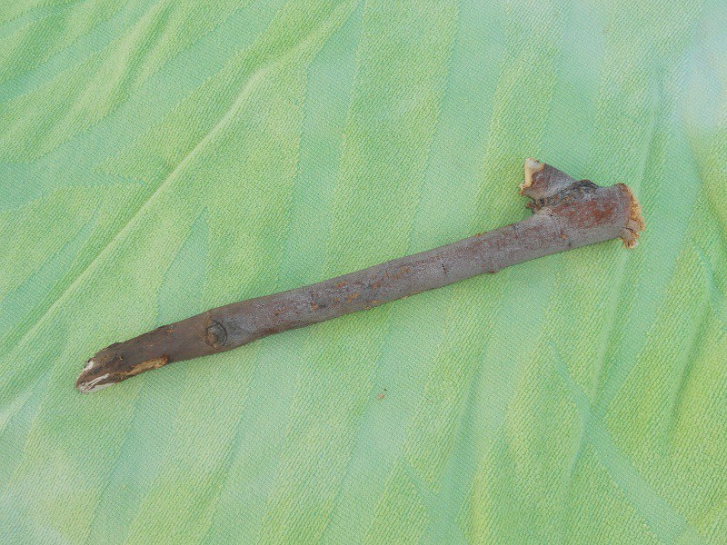 The Anchor stick