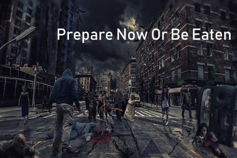 zombie apocalypse survival guide