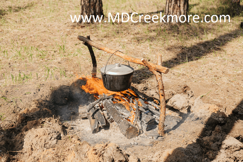 Campfire in the woods