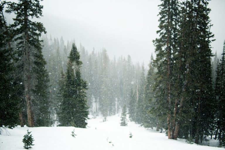 Cold weather clothing