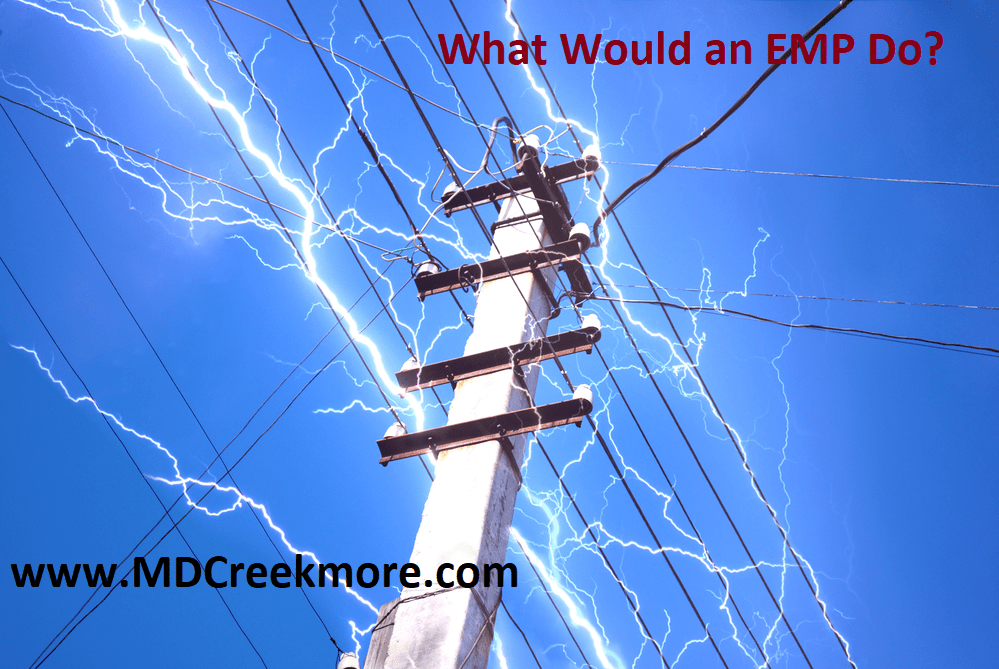 What Would an EMP Do