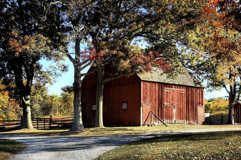barn on the farm
