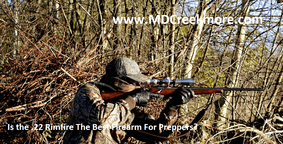 Is the .22 Rimfire The Best Firearm For Preppers?
