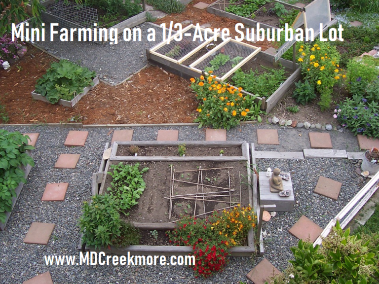 Mini Farming on a 1/3-Acre Suburban Lot