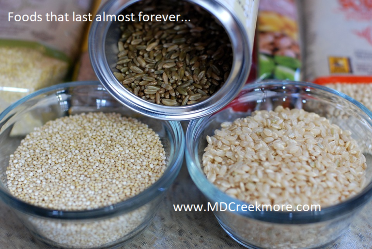 foods that last forever
