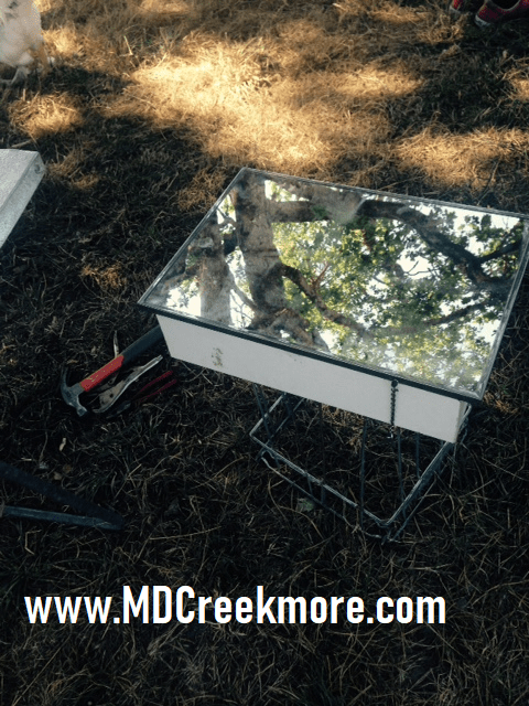 how to make a seed starter