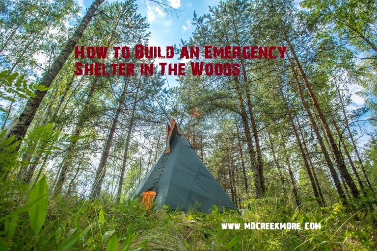 How to Build an Emergency Shelter in The Woods