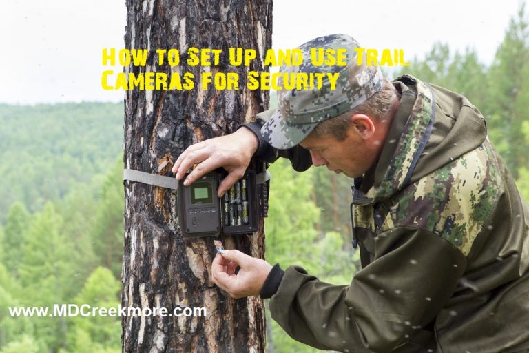 How to Set Up and Use Trail Cameras for Security